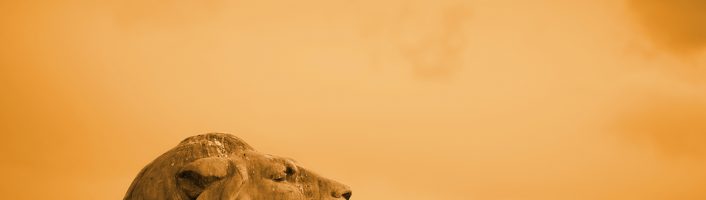 Top 10 quotes on courage